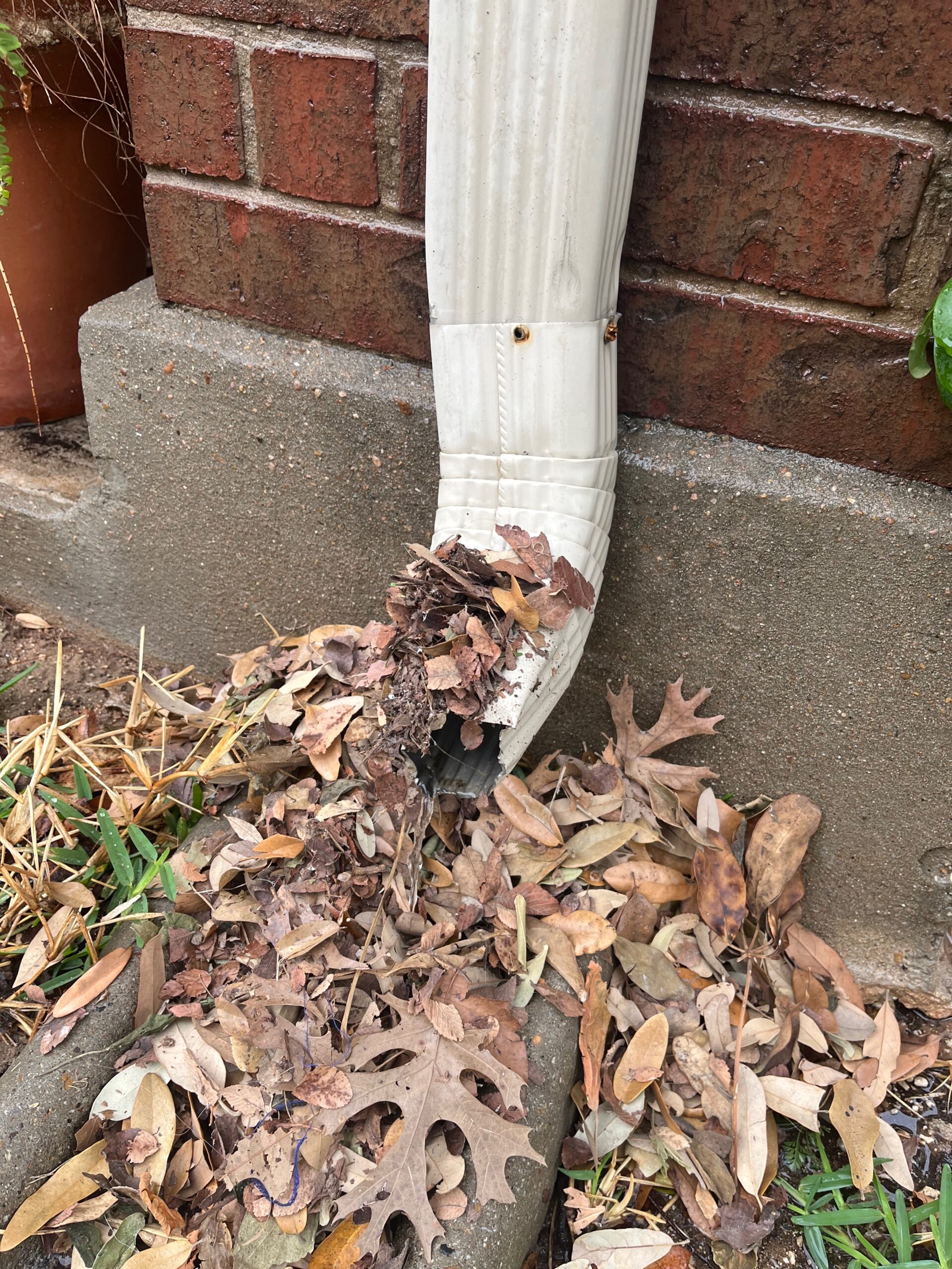 Spring Prep on a Budget